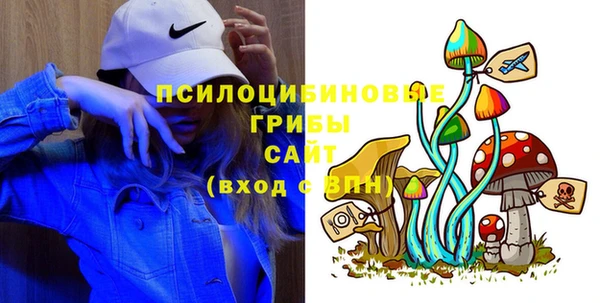 круглые Алзамай
