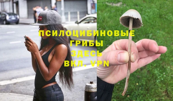 ГАЛЛЮЦИНОГЕННЫЕ ГРИБЫ Армянск