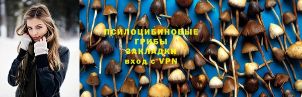 тгк Аркадак