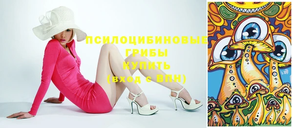 ГАЛЛЮЦИНОГЕННЫЕ ГРИБЫ Армянск